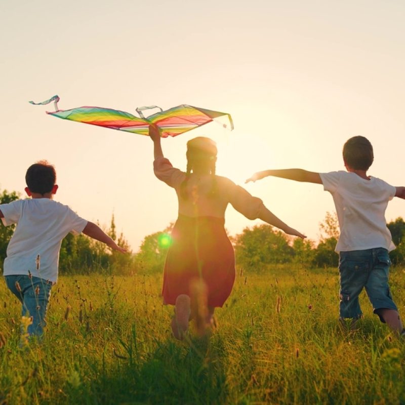 Children,Toy,Plane.,Kite,Flies,In,Hands,Of,Child,In